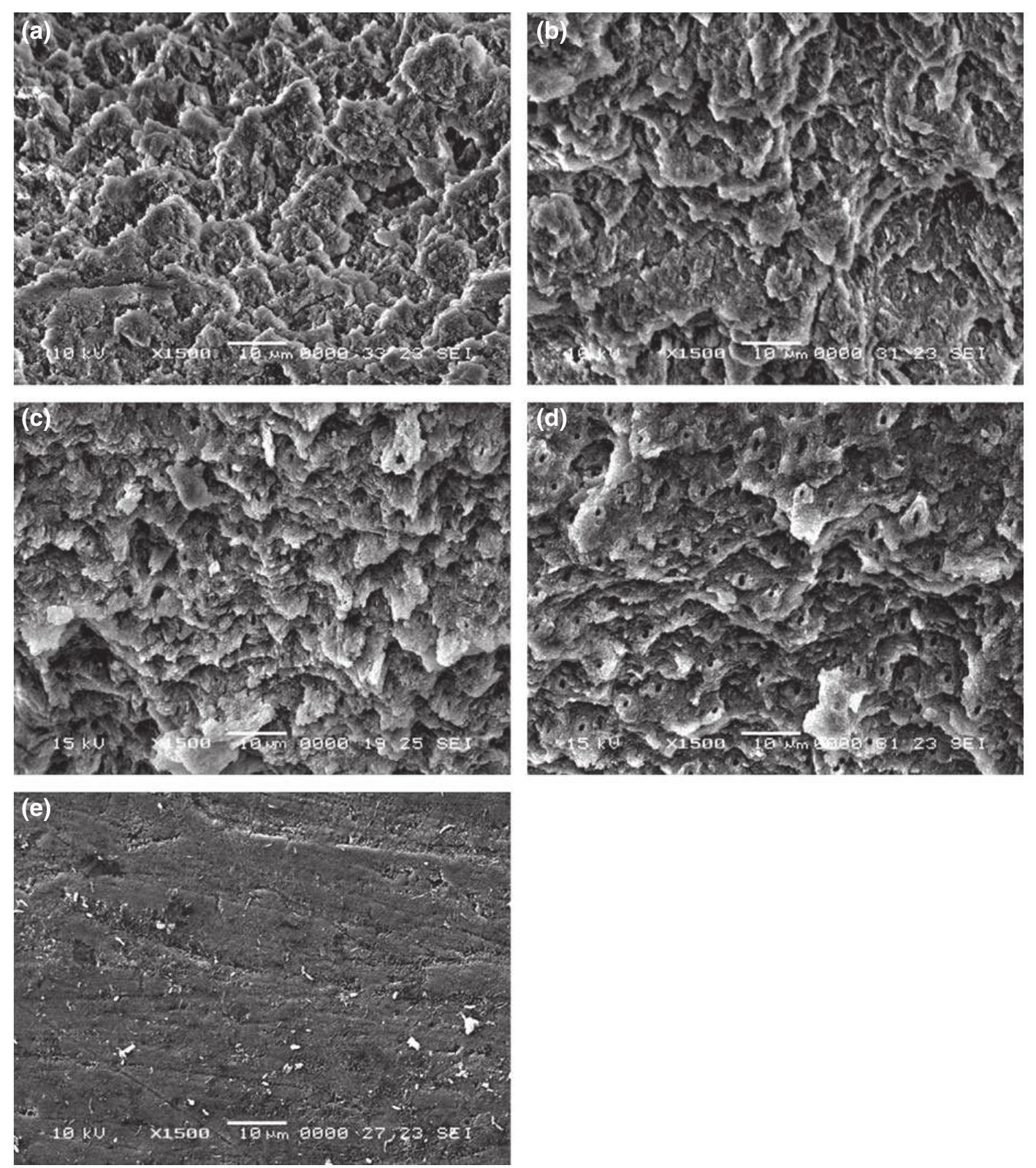 Scanning electron microscope micrographs of samples treated