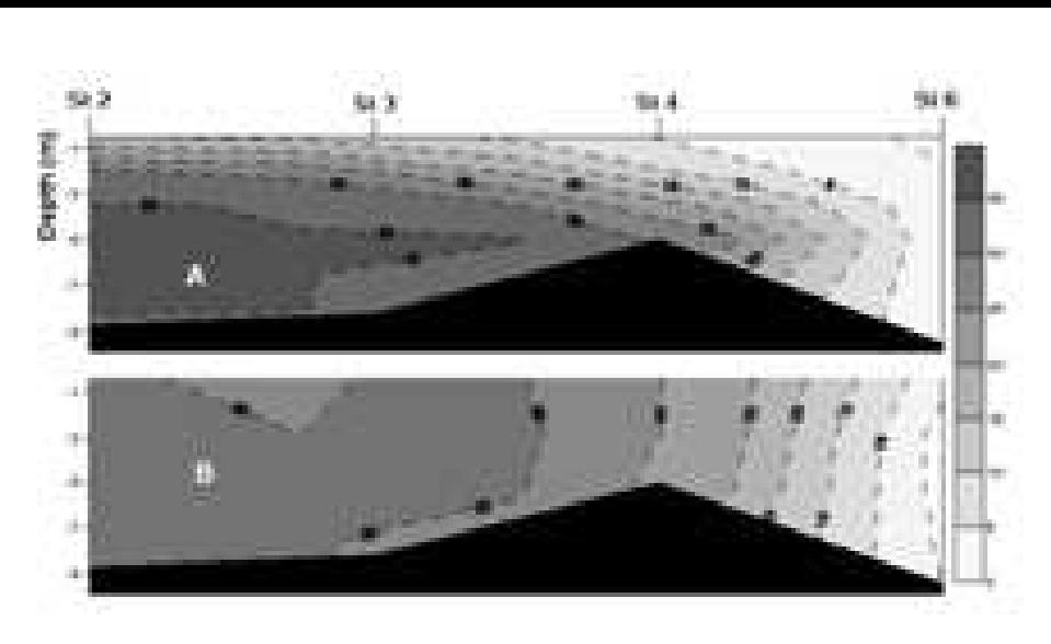PDF) Journal of Coastal Research Special Issue No. 41 (STRAEE
