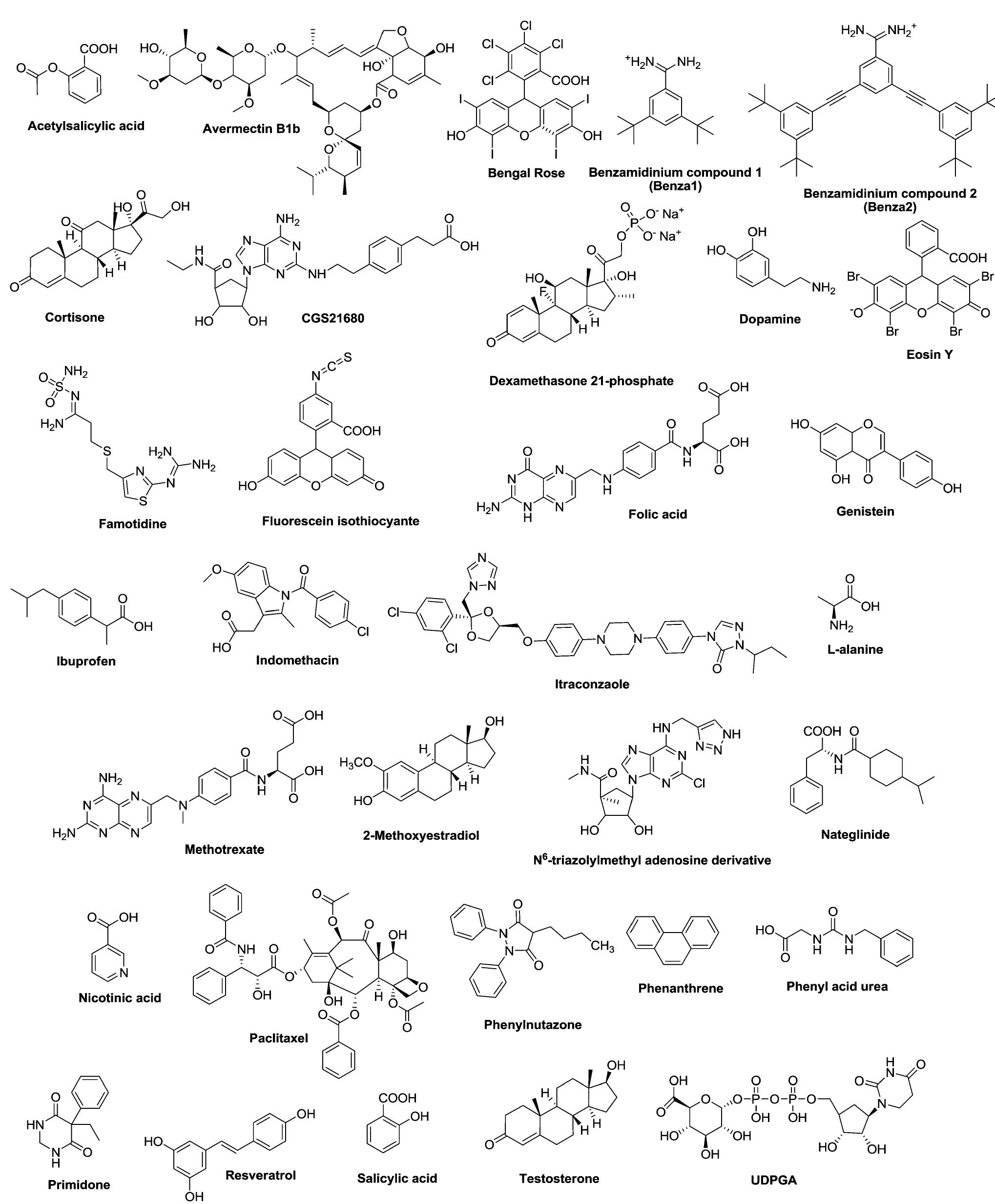 Figure 9 - from Nanoscale dendrimer-drug