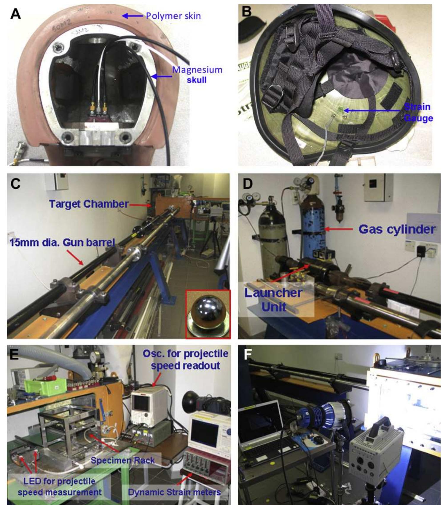 (PDF) Performance of an advanced combat helmet with different interior ...