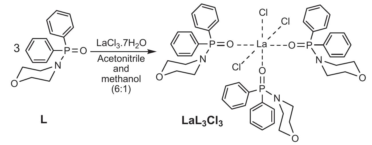 Schematic representation of the structure of ligand l and