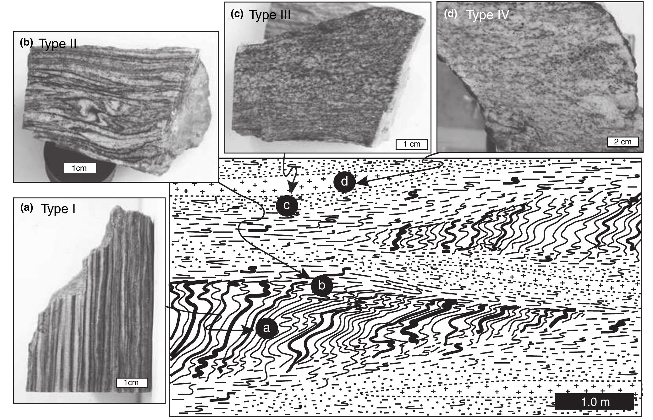 (PDF) Origin of Felsic Migmatites by Ductile Shearing and Melt Infiltration