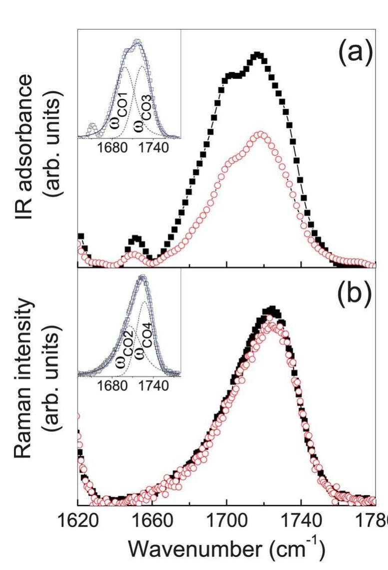 Experimental ftir-atr (a) and raman (b) spectra in the c=o