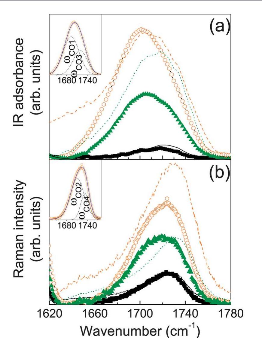 Experimental ftir-atr (a) and raman (b) spectra in the c=o
