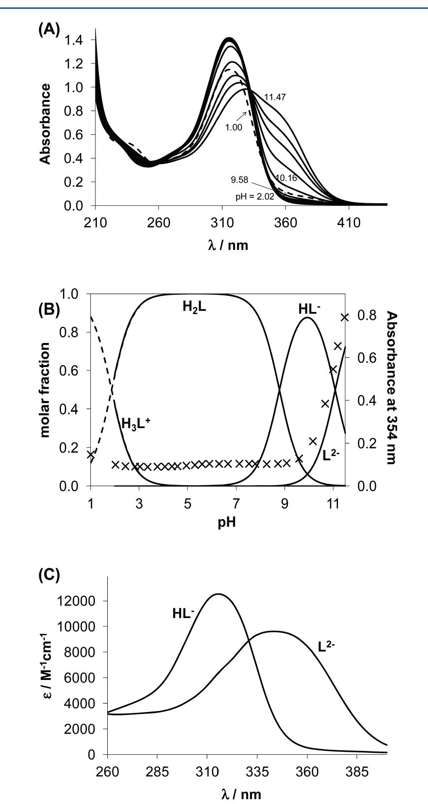 The ph-dependent 'h nmr spectra of the ligand (figure 3)