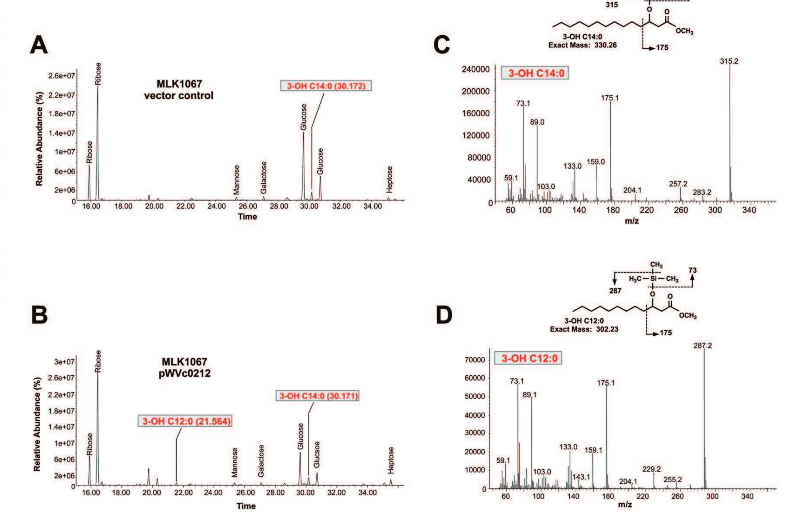 Gas chromatography/mass spectrometry (gc/ms) analysis of