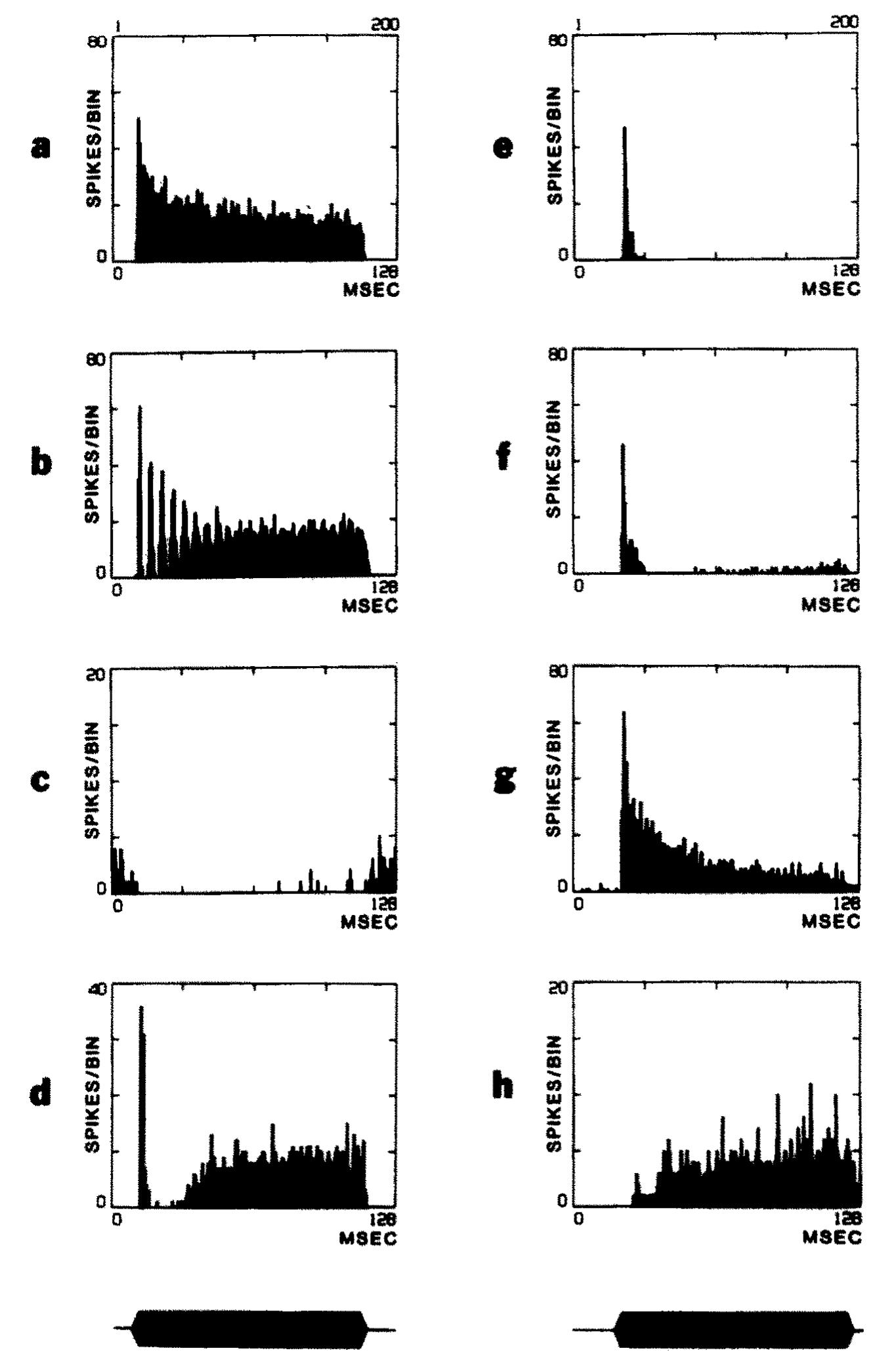 (PDF) Anatomy and physiology of the gerbil cochlear nucleus: An ...