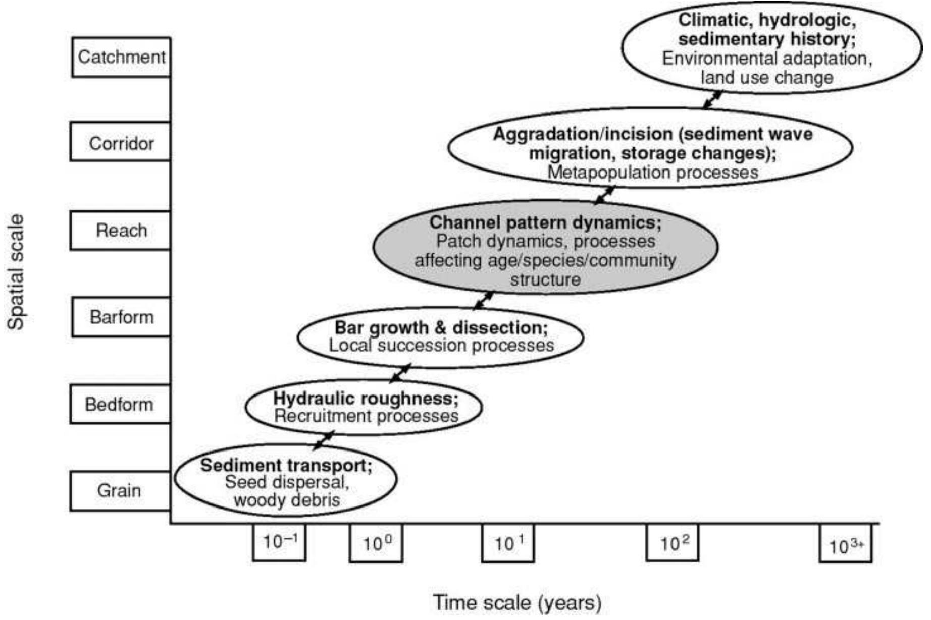 A spectrum of fluvial styles, based on miall (1985, 1996).