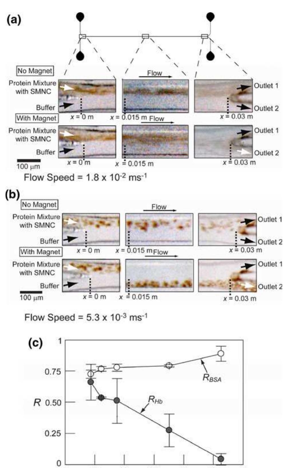 (PDF) Microfluidic continuous magnetophoretic protein separation using ...