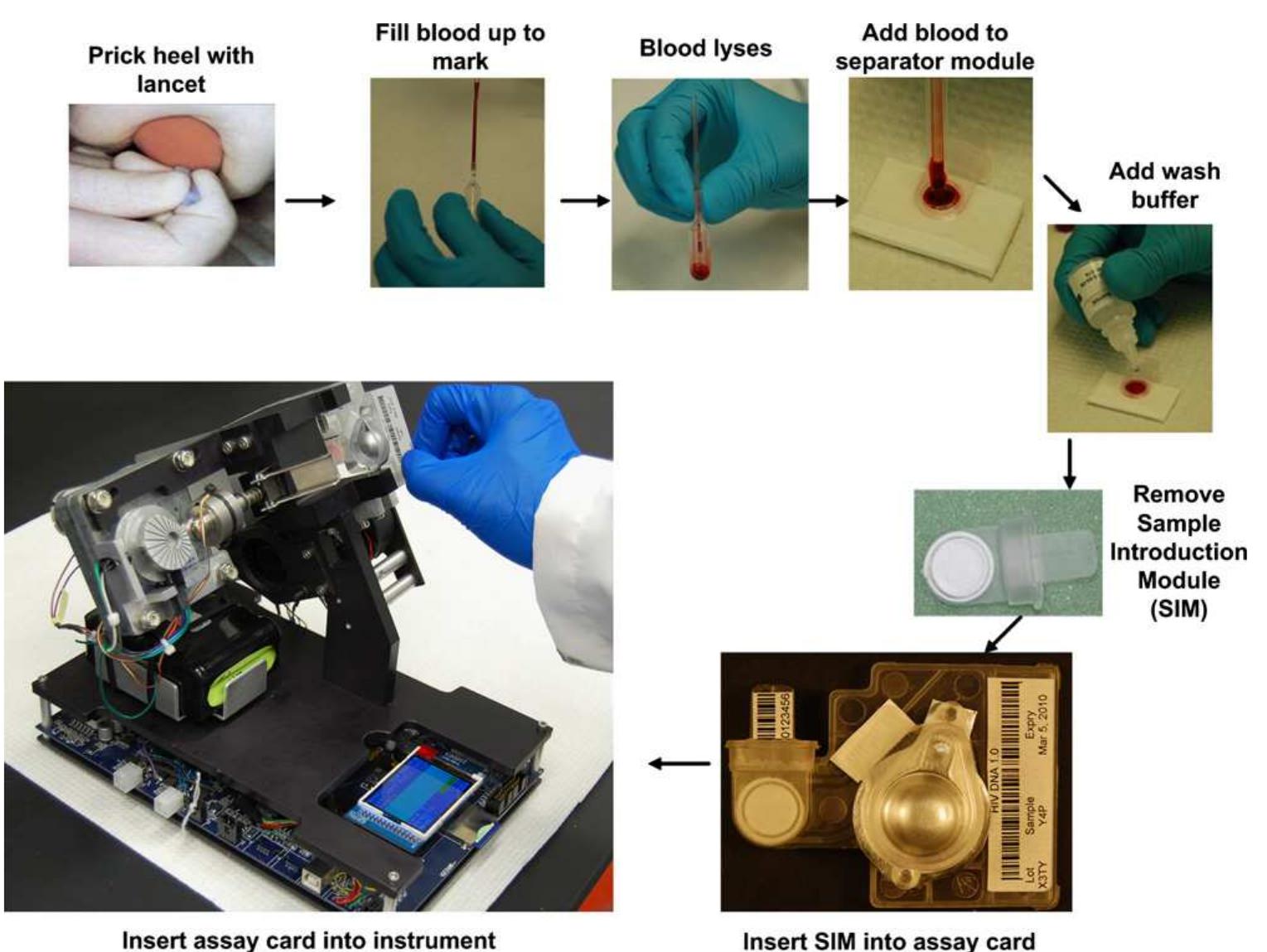 Sim Assay The sim consists of two main parts: the dna capture mem-