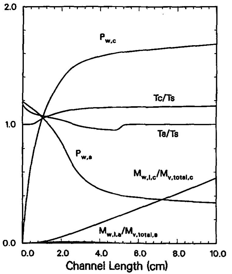 Water and temperature profiles along the flow channels for