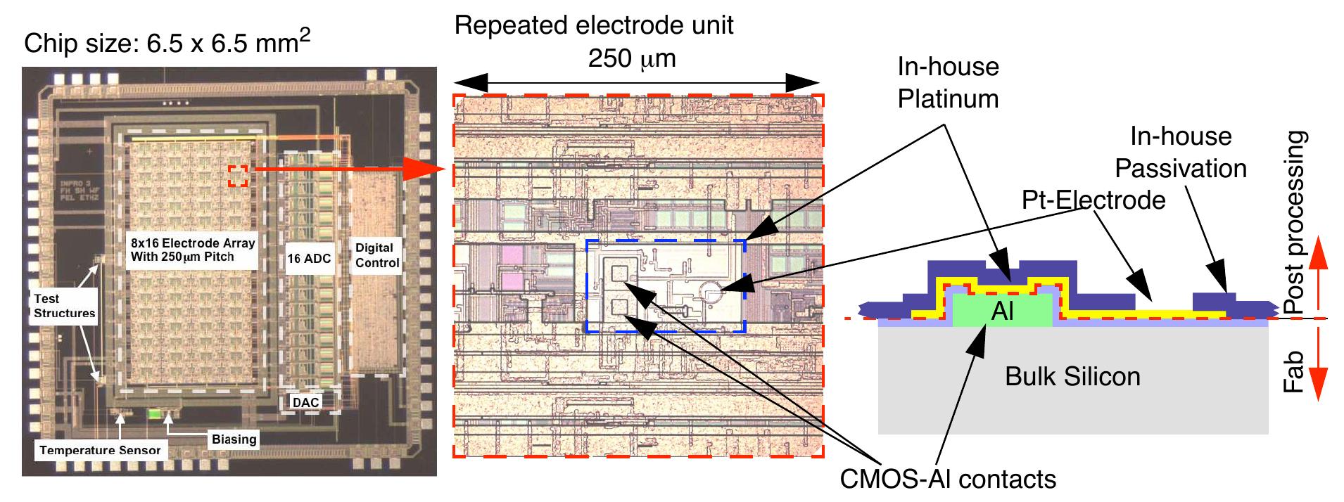 Micrograph of the electrode array chip, close-up, and