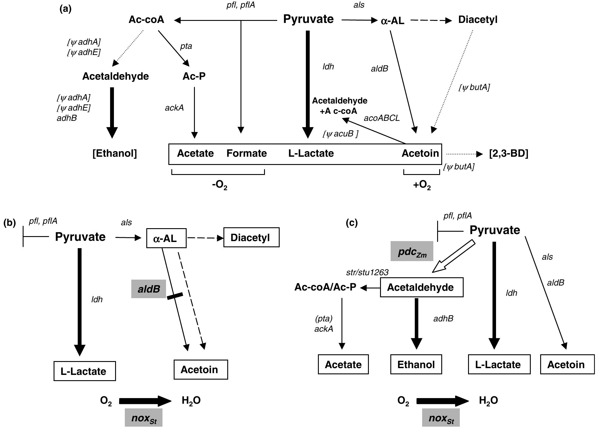(PDF) New insights in the molecular biology and physiology of ...