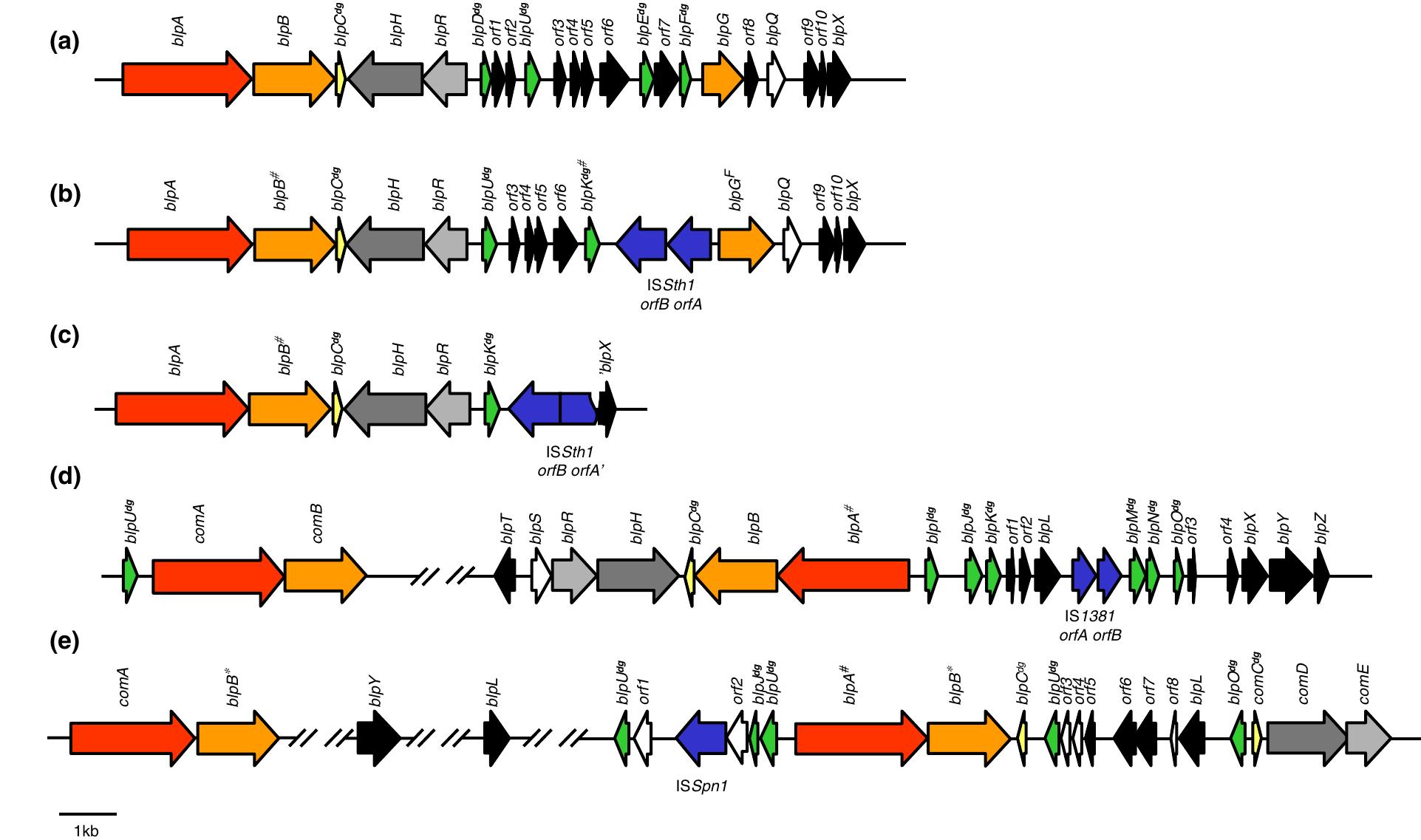 (PDF) New insights in the molecular biology and physiology of ...