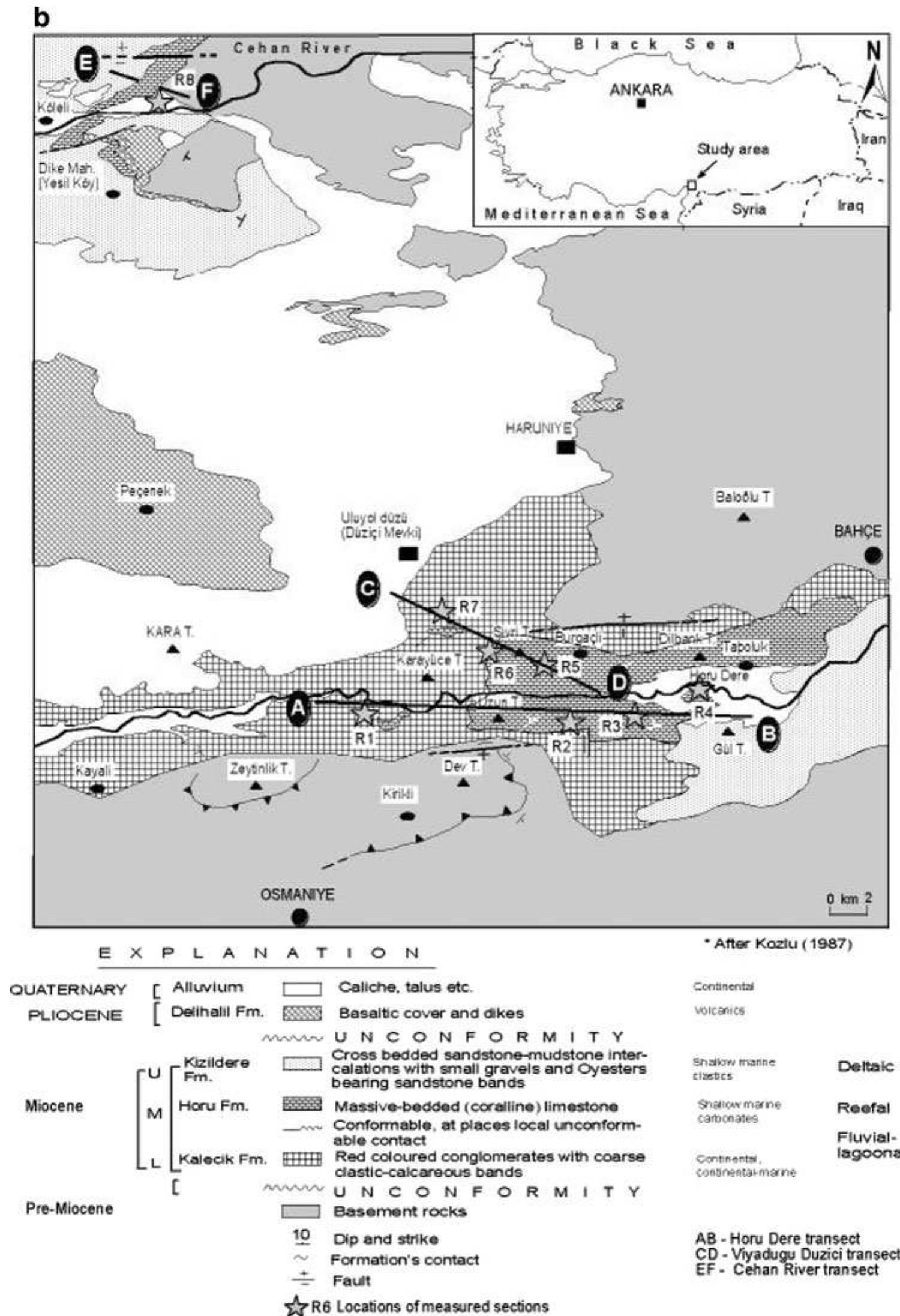 Figure 2 - from Neogene reefal limestones and their