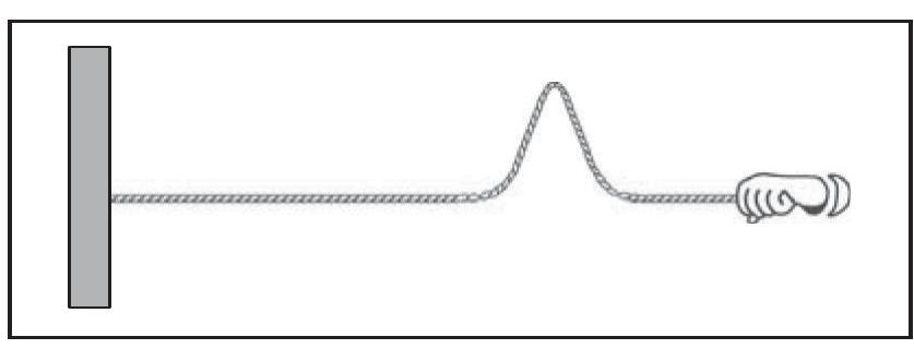 Figure 7 - from Consistency of students’ conceptions of wave