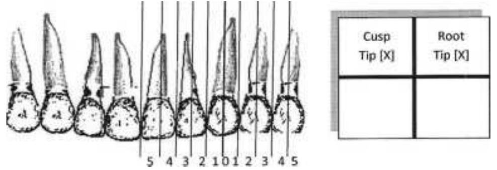 Figure 2 - from The KPG index--a novel 3D classification