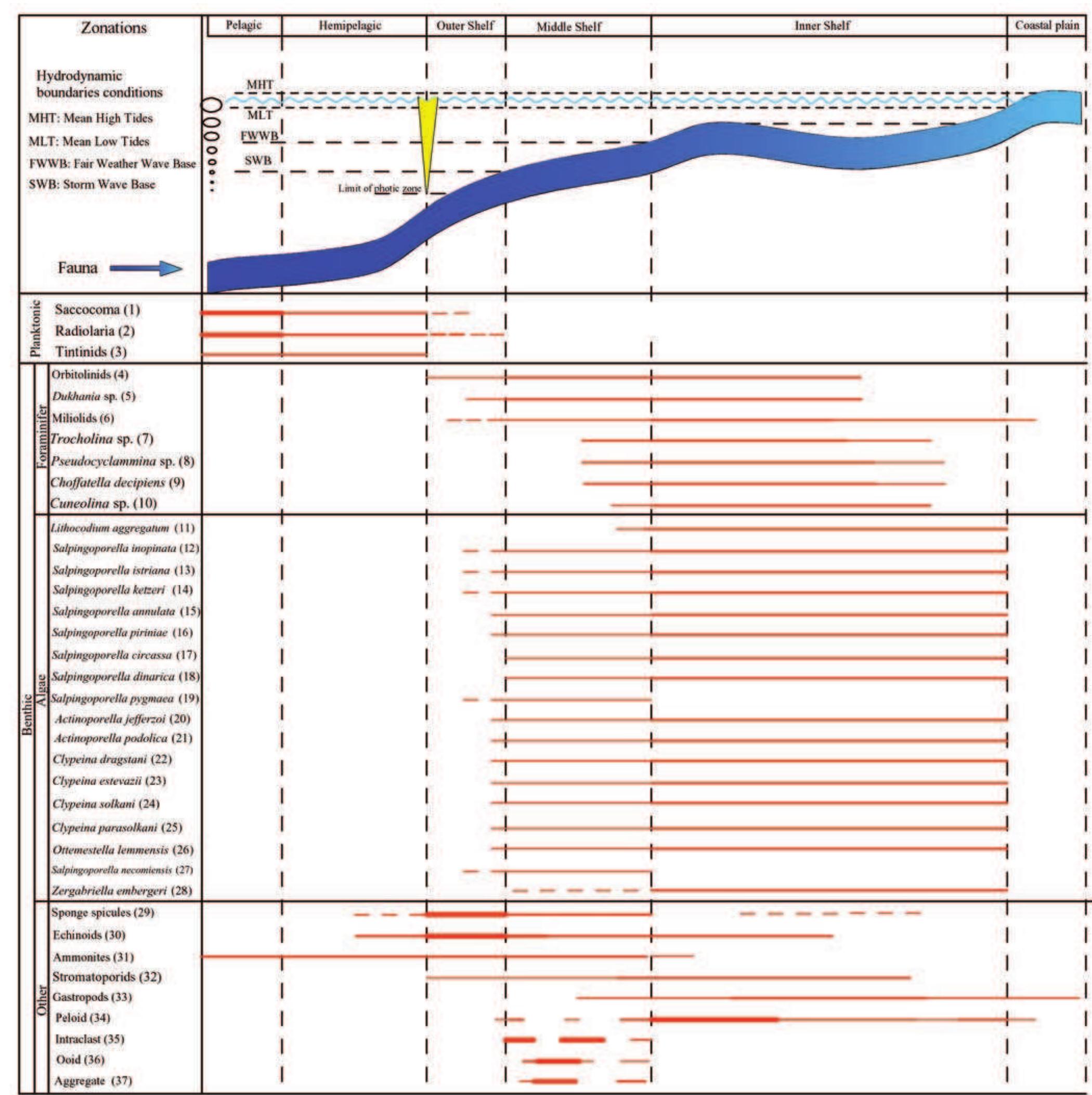 Schematic diagram showing depositional environments of the