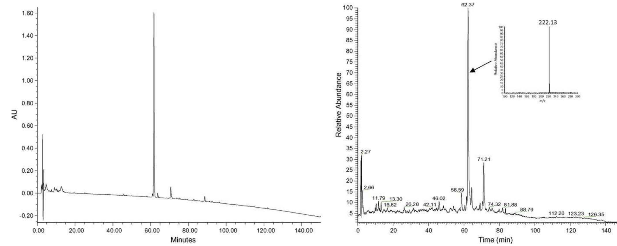 N-alkylamide profiling chromatograms of a.vogel spilanthes: