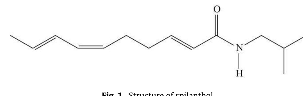 N-alkylamide profiling chromatograms of a.vogel spilanthes: