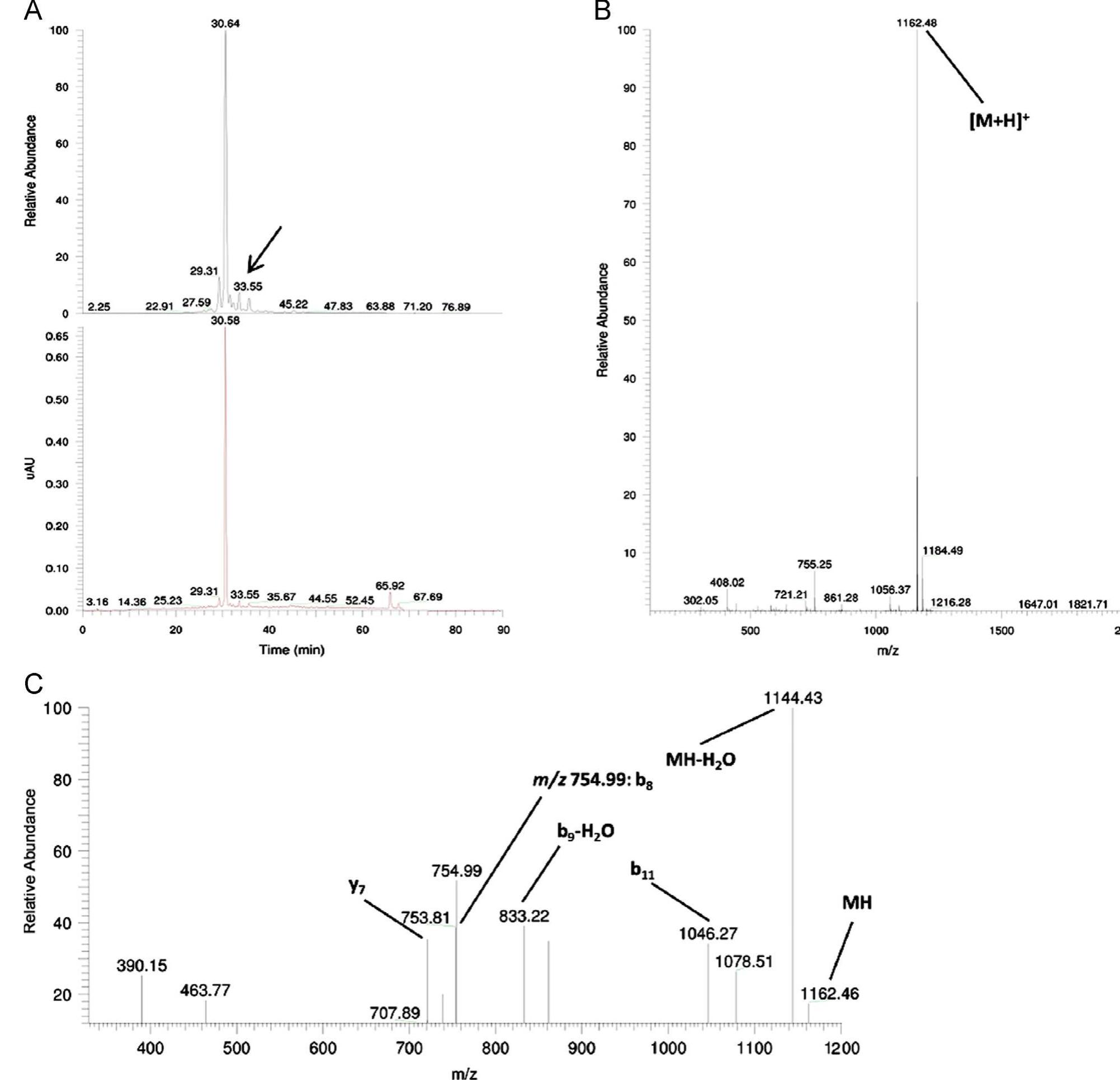 Tic and uv chromatogram (a), ms! (b) and ms? (c) spectra of