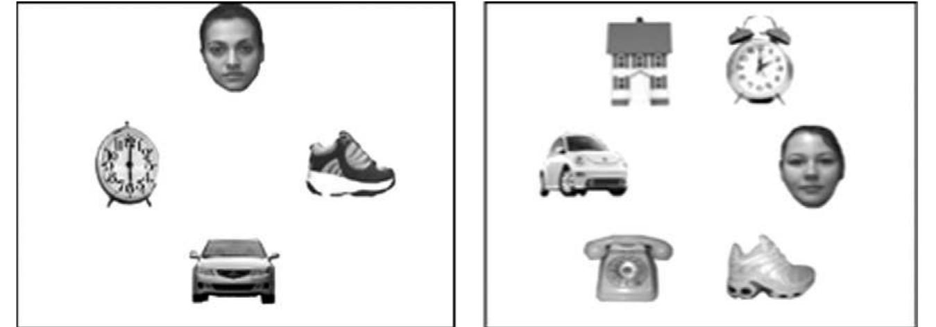 (PDF) Face detection in complex visual displays: An eye-tracking study ...