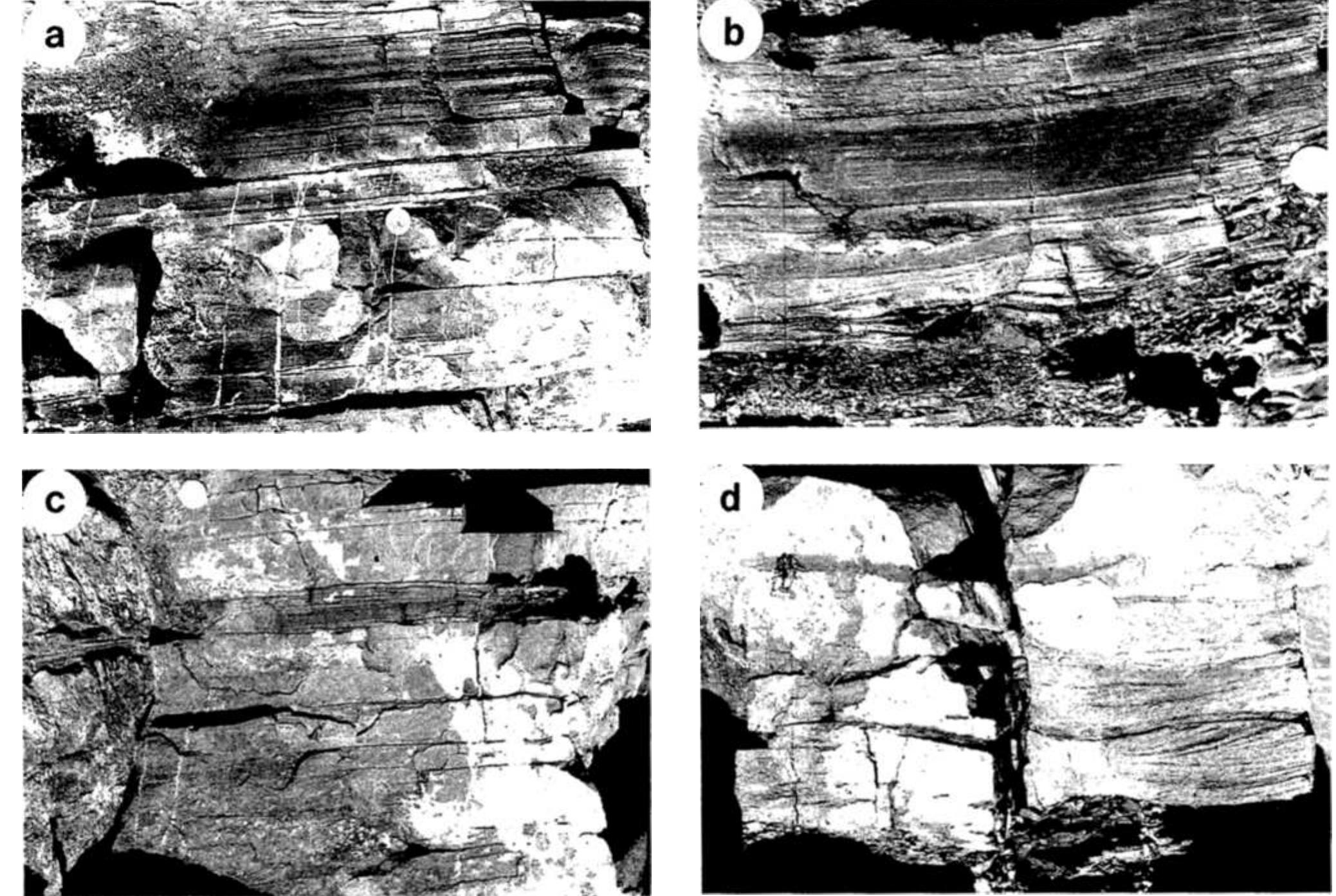 Figure 14 - The Fernie-Kootenay transition, Banff National