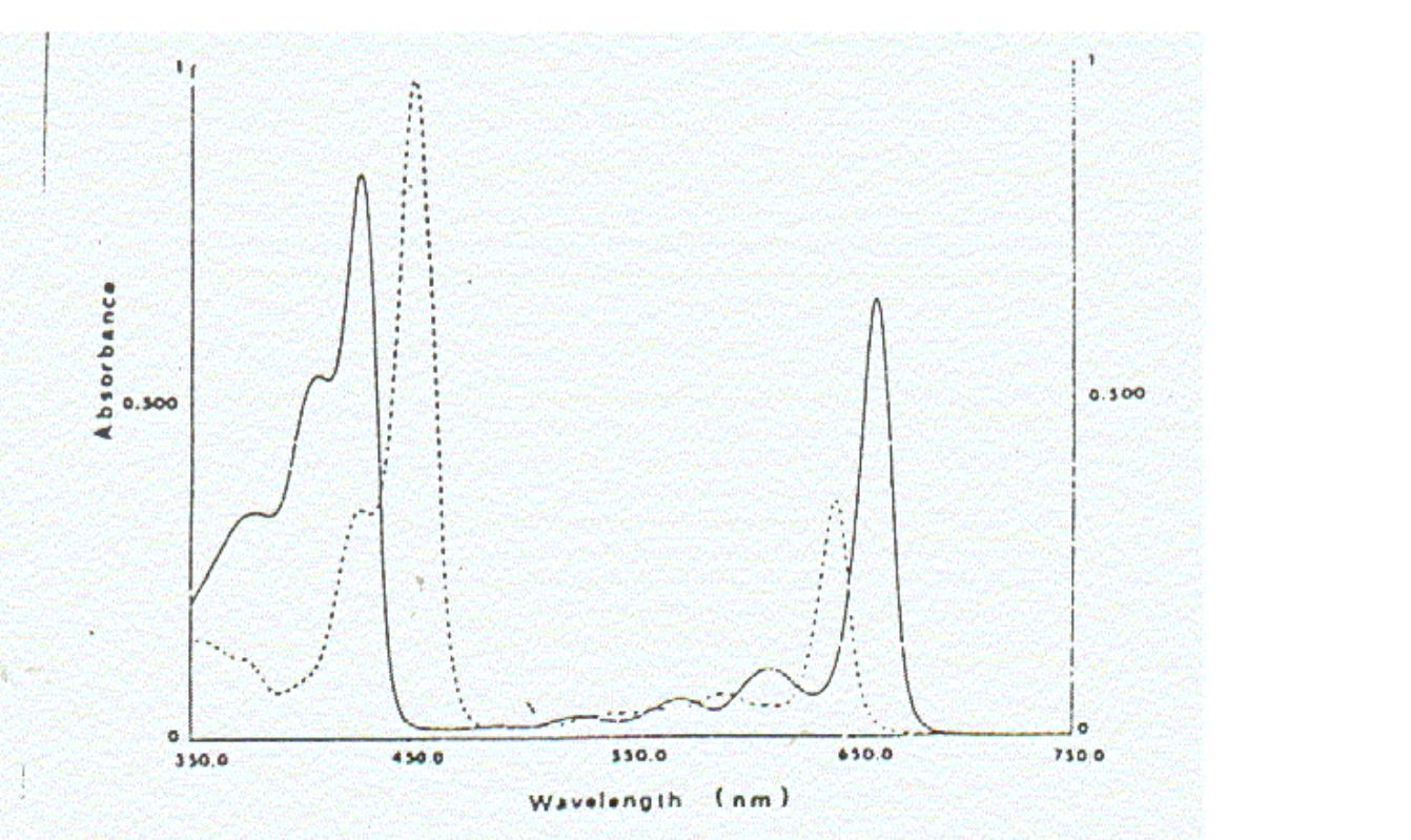 Obtenção de matéria pelos seres autotróficos:, image size:1342x799