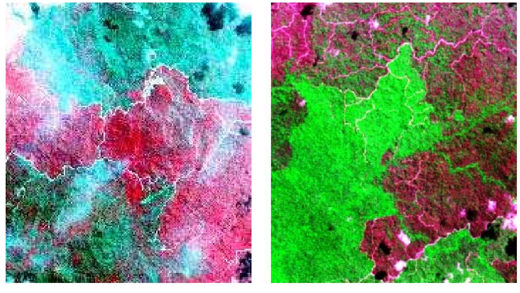 Figure 4 - from FOREST FIRE RISK ASSESSMENT MODEL AND