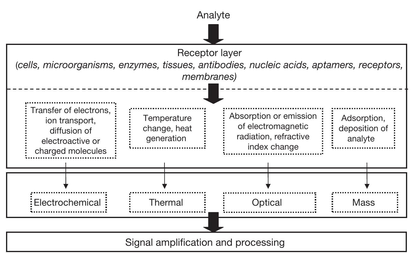 Working principle and classification of biosensors according