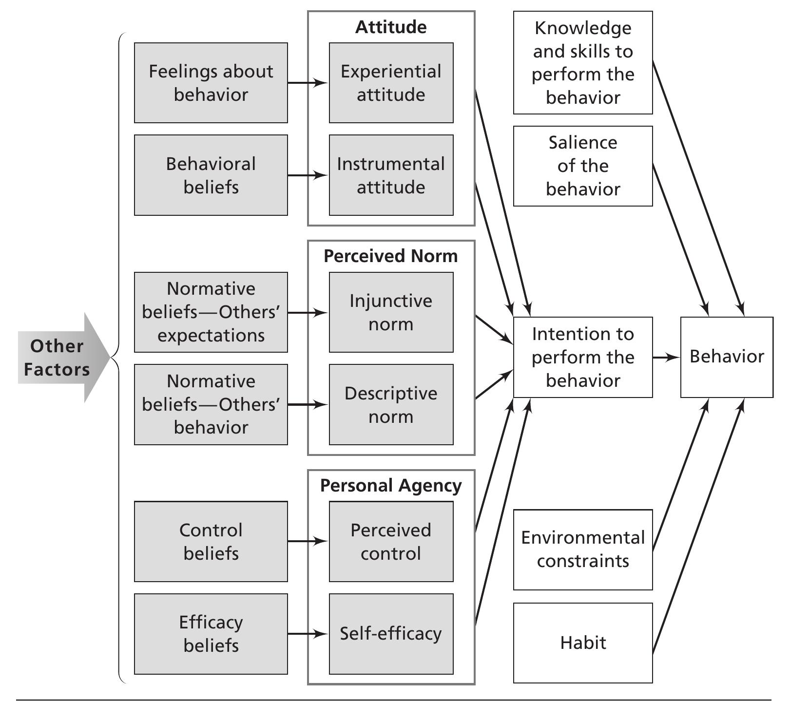 (PDF) The theory of reasoned action and the theory of planned behavior