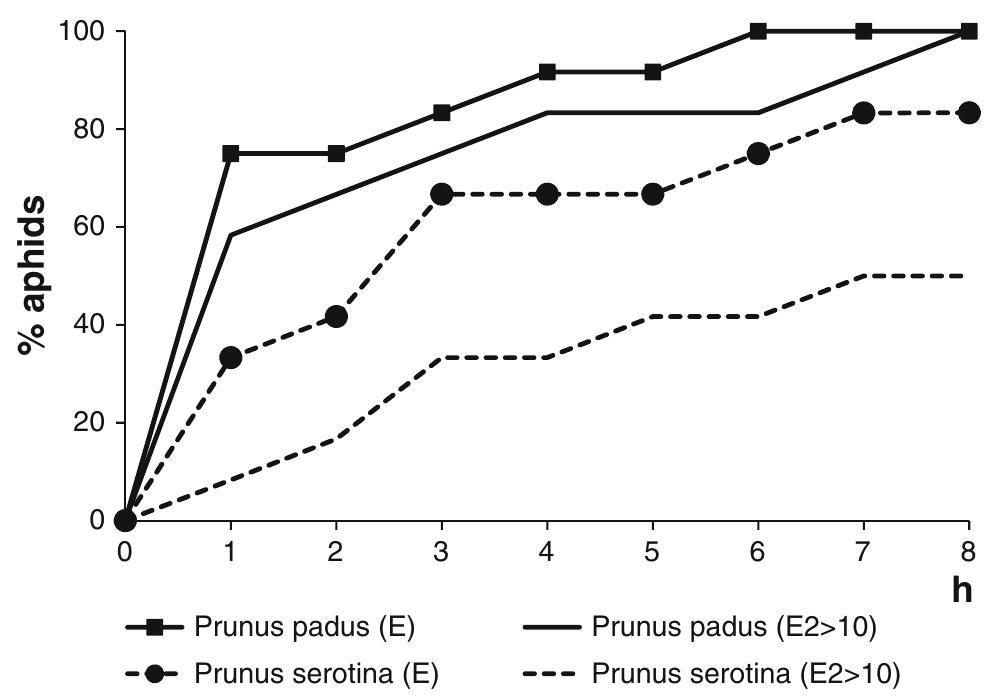 (PDF) Probing behavior of bird cherry-oat aphid Rhopalosiphum padi (L ...