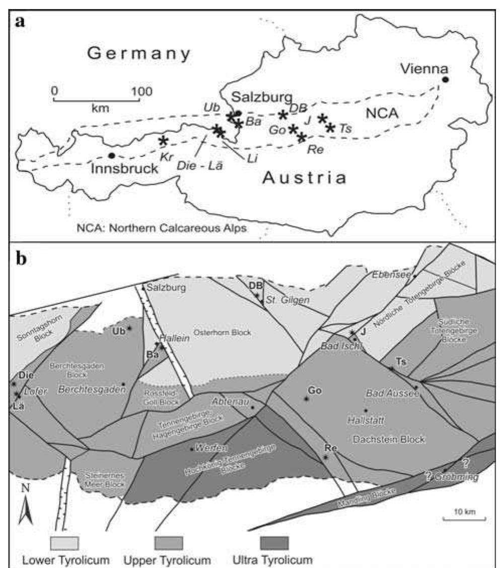 Figure 1 - from Bioerosional structures and pseudoborings