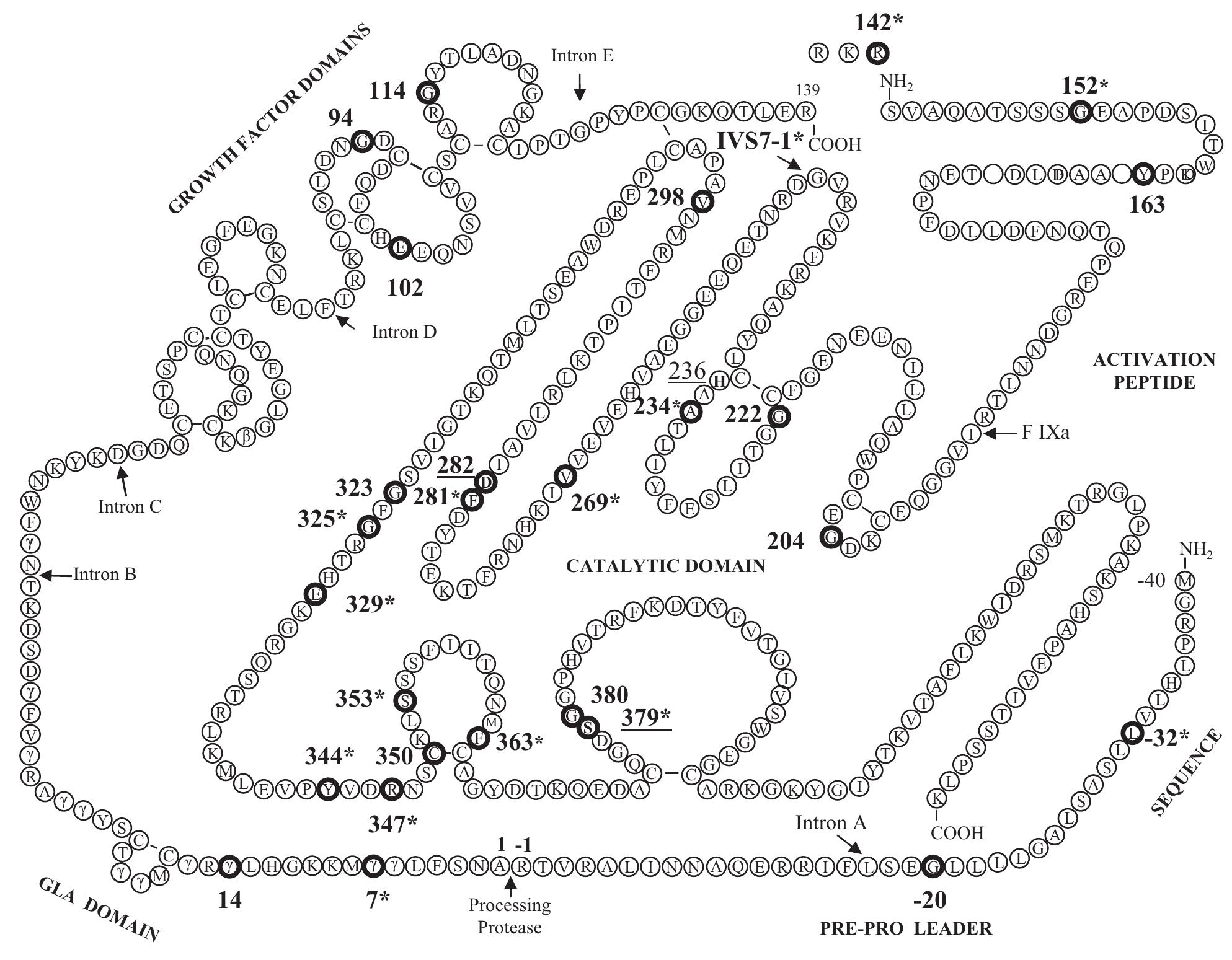 (PDF) Factor X deficiency: clinical manifestation of 102 subjects from ...