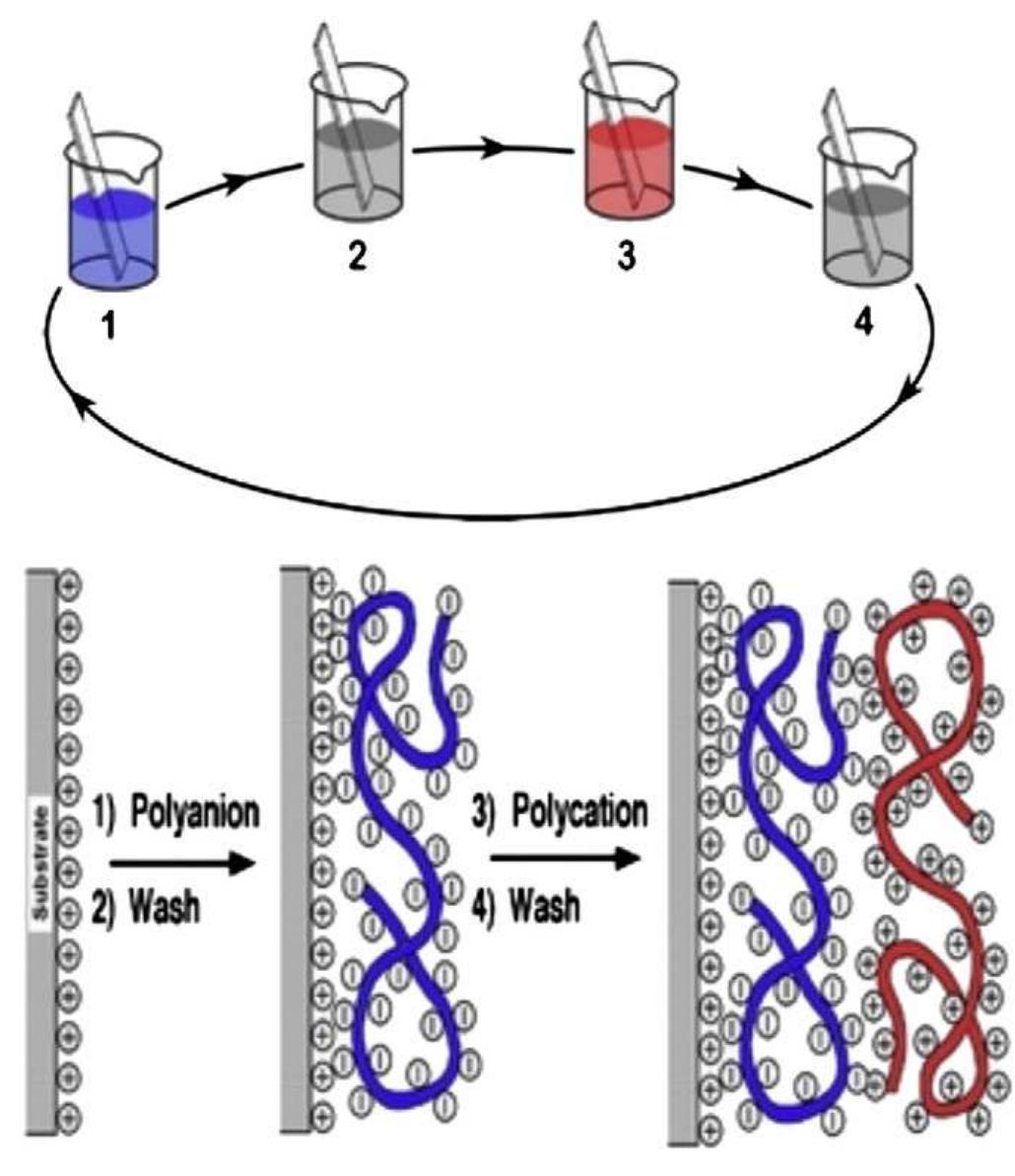 Mechanism of action of drug in nanocarriers toward free