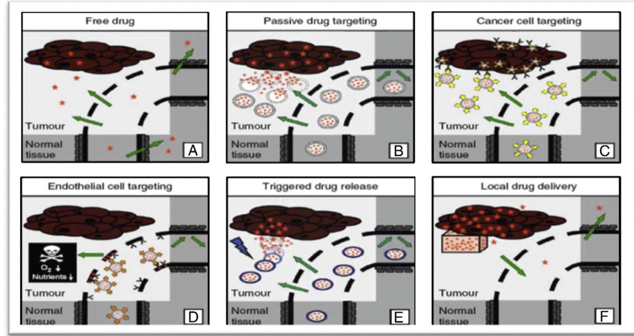 Mechanism of action of drug in nanocarriers toward free