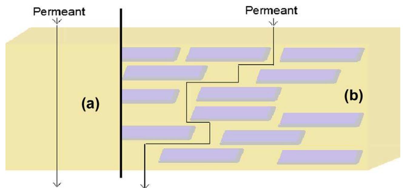 Various types of nanoscale materials (with permission) [10].