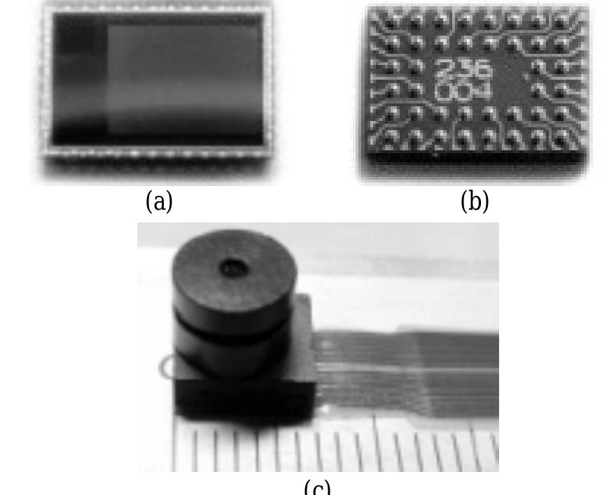 Wellpoint Star Plus Ic Example (PDF) Wafer-level chip-scale packaging for low-end RF products