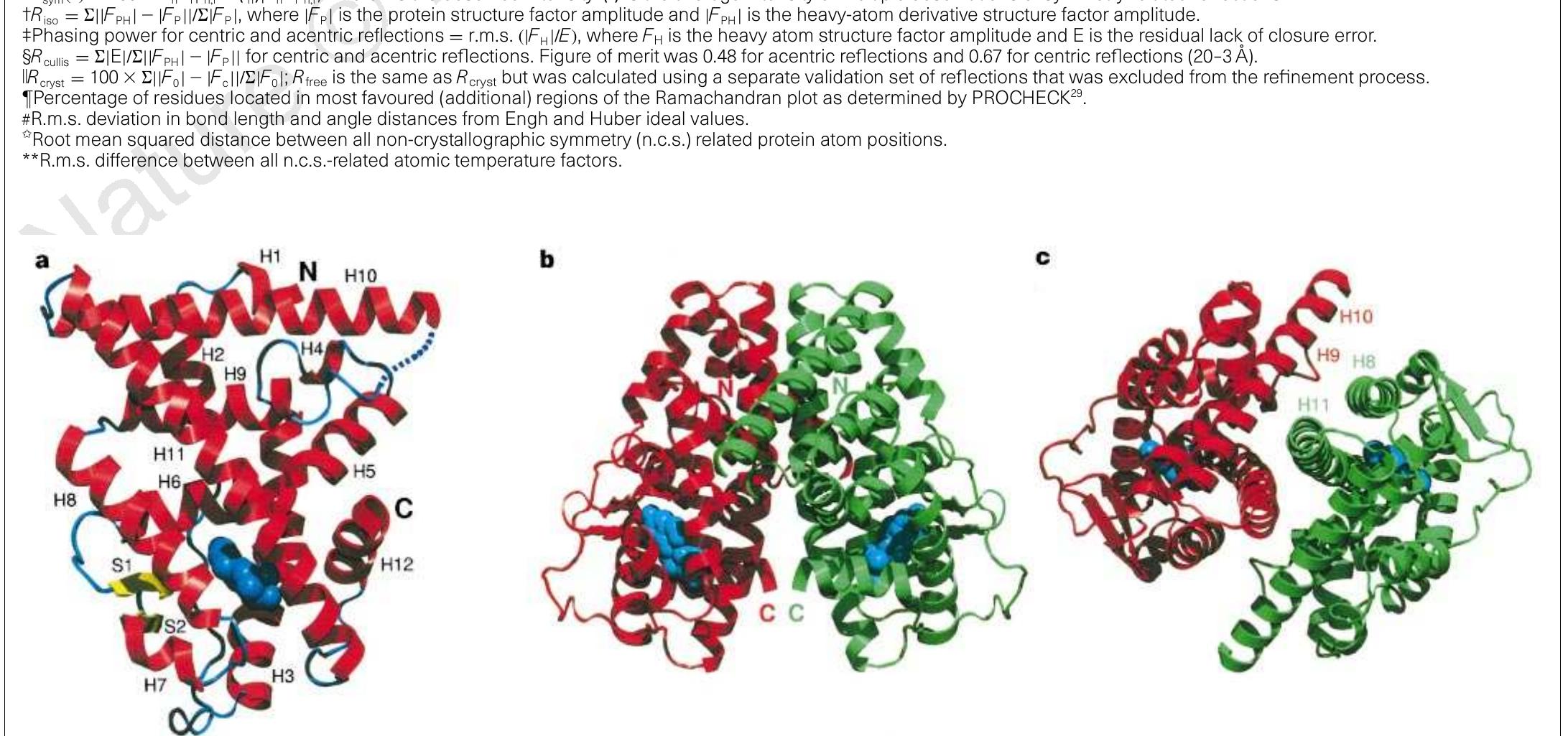 Region between h9 and h10. b, er-« lbd homodimer viewed
