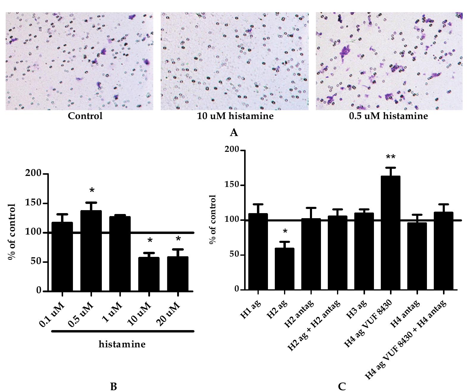 (PDF) Histamine and Breast Cancer: A New Role for a Well Known Amine