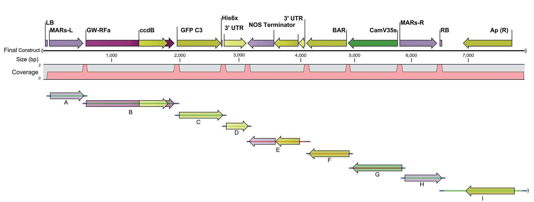 Figure 1 - from High throughput synthetic biology by