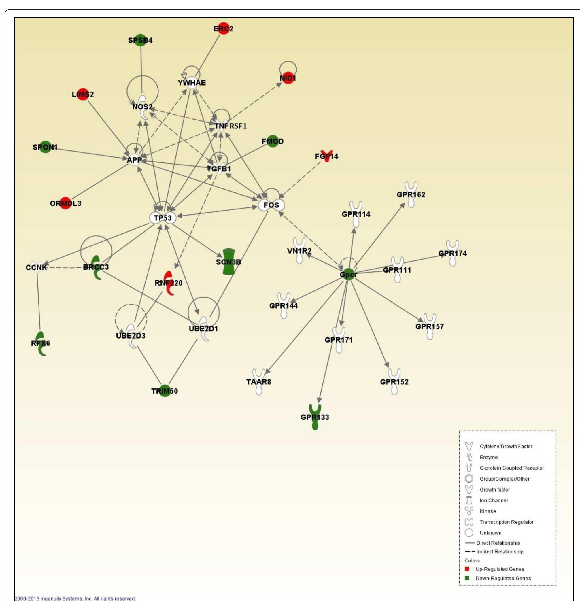Cell signaling. pathway analysis of gene functions in
