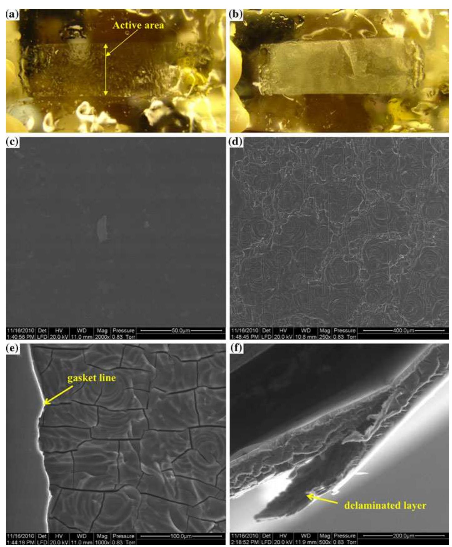 Figure 2a and b exhibits optical micrographs of the S-Radel membranes immersed in deionized water after disassembly of the flow cells that underwent 25 and 50 charge/discharge cycles. Even though there was no degradation in cell performance, the S-Radel membranes showed significant physical degradation. The S-Rade membrane from the 25 cycle test displayed a relatively smooth surface and no cracks immediately after cel disassembly, but the surface in contact with the positive electrode became rough after immersion in deionized water. The additional swelling of the membrane in deion- ized water relative to its swelling in electrolyte solution likely promoted small cracks that formed during the  