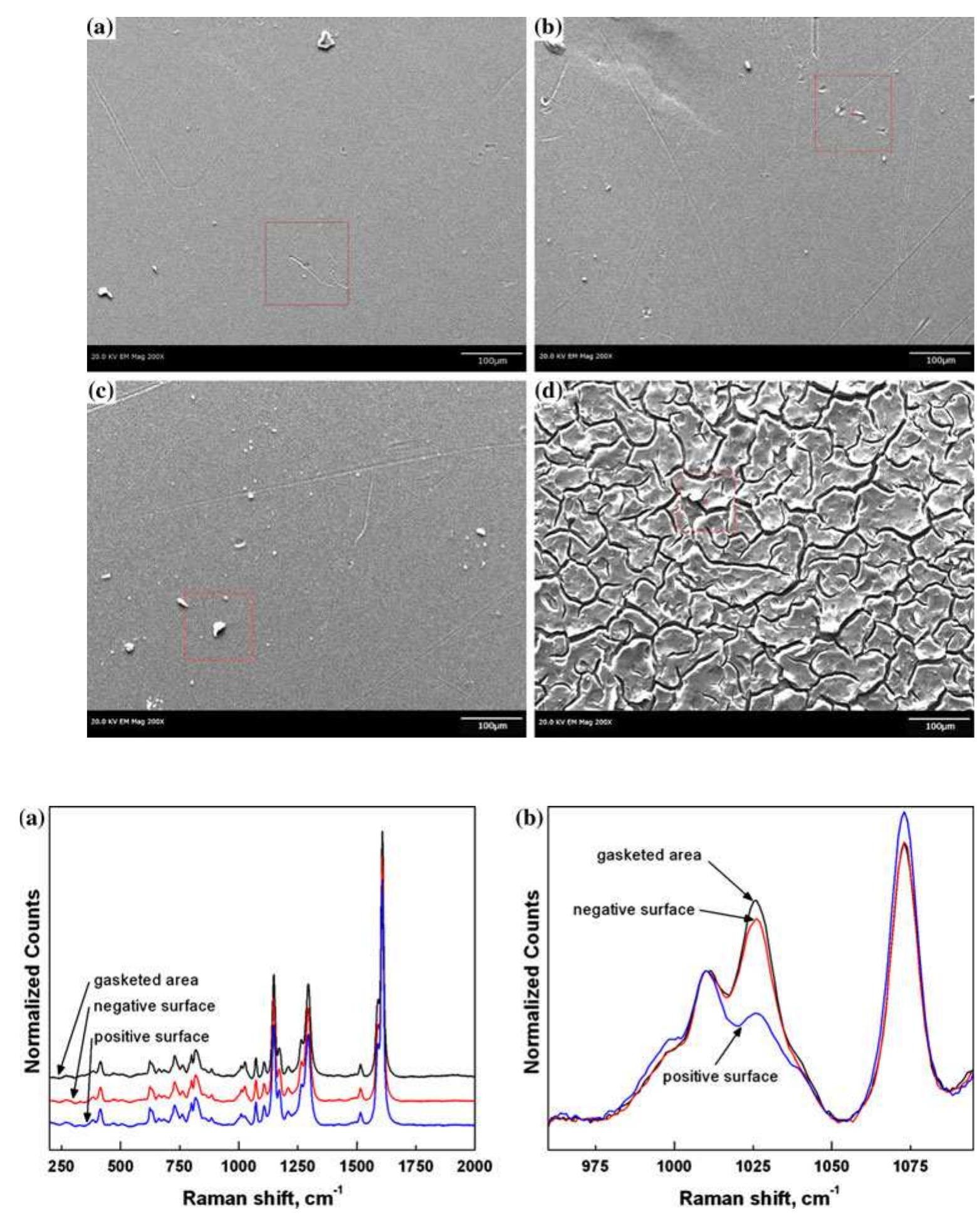 p-substituted aryl ether at 1010 cm™' and showed the effect that the 50 cycle test has on the sulfonate SO, stretch. In the high-resolution scans, differences were detected between the protected gasketed area and the active area of the membrane facing the positive and negative electrodes. The Raman data show that there is a detectable change in the SO, stretch for the surface of the membrane that faced the positive electrode. However, no other chemical changes were evident in other regions of the spectra.  change in the SO, stretch for the surface of the membrane  Raman spectroscopy was also used to interrogate membranes immersed in different vanadium ion solutions. Figure 7 shows that there is a clear depression of the 1026 cm™! band upon exposure to V°* solution. This peak 