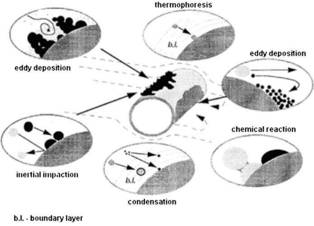 (PDF) Shedding of ash deposits