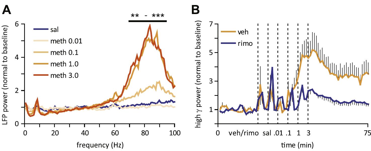 Metj Encode (PDF) Cannabinoid receptors mediate methamphetamine induction of high ...