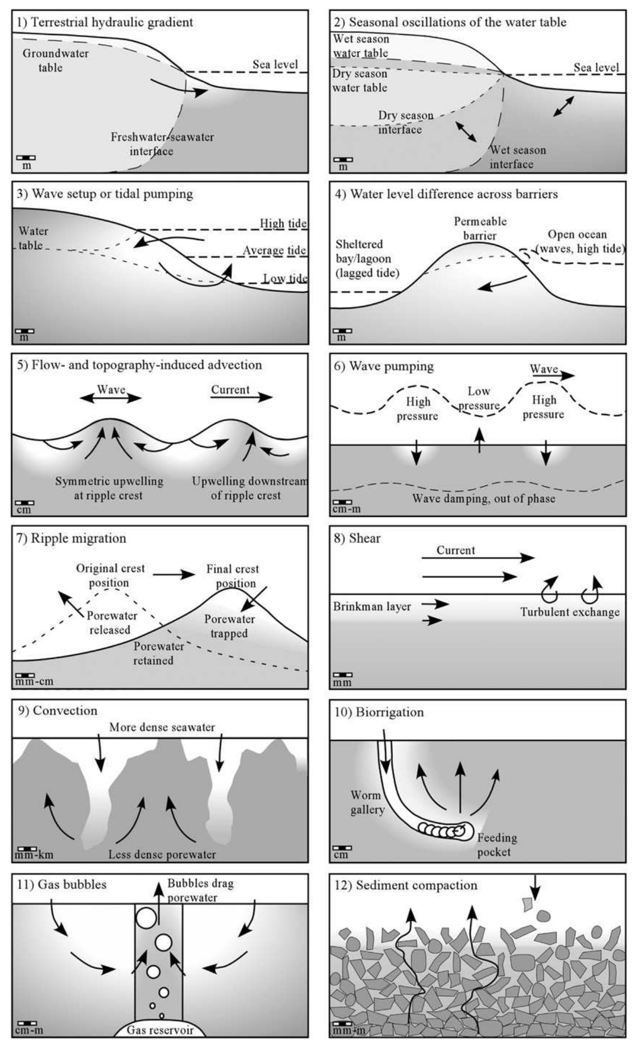 (PDF) The driving forces of porewater and groundwater flow in permeable ...
