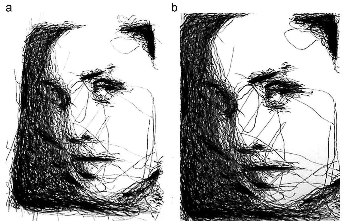 Undistort and homography processes: (a) view as captured by