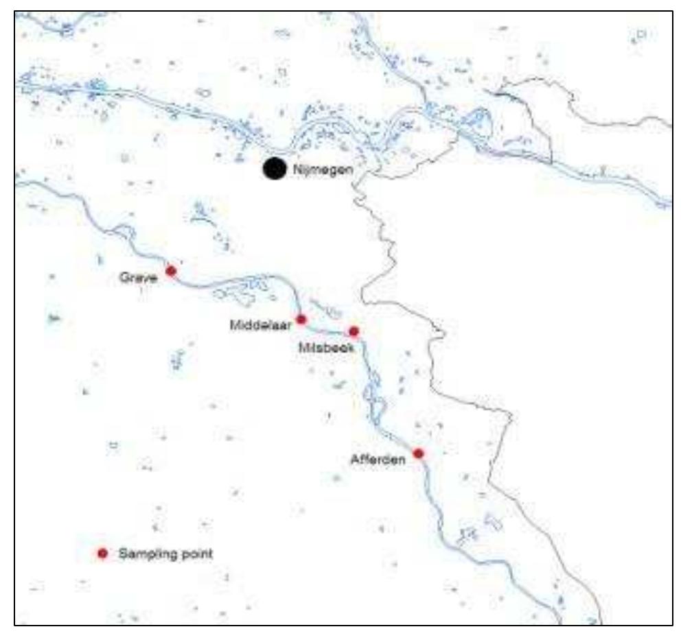 we :  Determining the age of individuals gave an estimate of the time of arrival of the sampled population at the sampling location. The age of mussels was estimated using length- frequency distributions of local populations (Bij de Vaate, 2008). This information was then used to determine the direction of colonization. Smaller individuals of mussels were assumed to have originated from older populations of the same species sampled at adjacent sampling locations within the same water body. Due to the low abundance and small size of mussels found, an analysis of direction of colonization was limited to the river Meuse where abundances were higher relative to the rivers Waal and IJssel. The sampling points under consideration are located at Afferden, Milsbeek, Middelaar and Grave (Figure 2.1).  Dispersal rates  Due to the low abundance and small size of mussels found, an analysis of direction of 