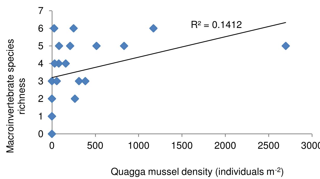 Figure 5.2: The relation between macroinvertebrate species richness and Quagga mussel density on hard substrates in Dutch rivers.  To determine the effect that the Quagga mussel has on the macroinvertebrate community, a scatterplot was made comparing macroinvertebrate species richness with Quagga mussel density at each sampling point. Macroinvertebrate species richness tended to increase with Quagga mussel density (Figure 5.2). 